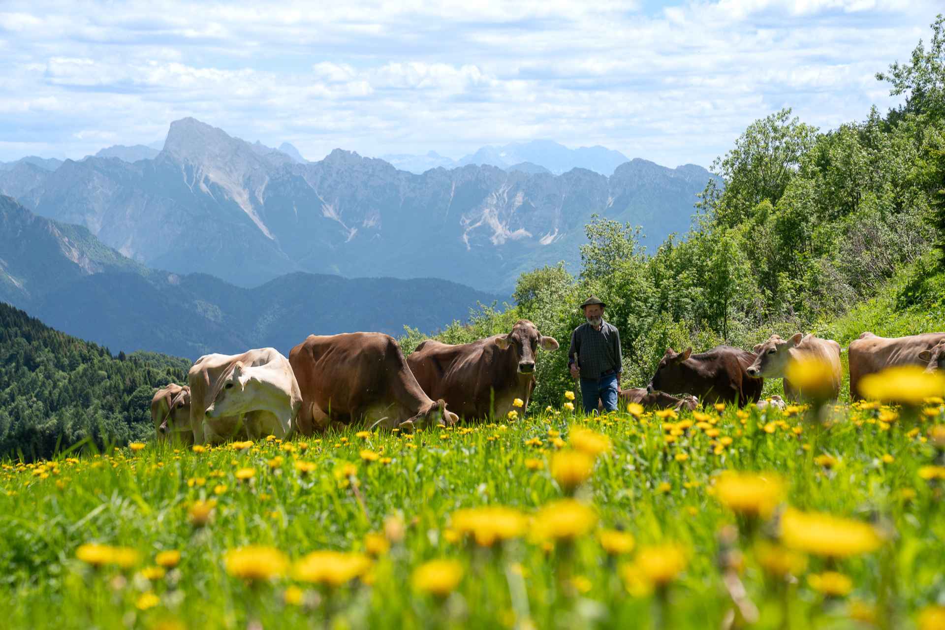 Monte Zoncolan